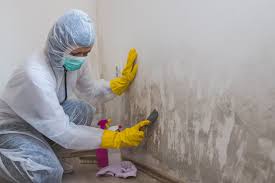 Best Basement Mold Removal  in Addison, TX